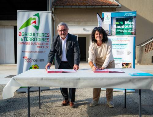 Le Grand Avignon et la Chambre d’Agriculture unissent leurs forces